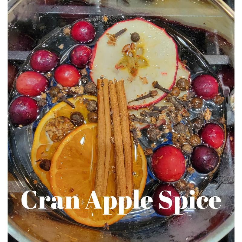 Winter Collection Simmer Pot Kits - Perfect for Gifts & Holiday Scents Nontoxic Home Air Freshener