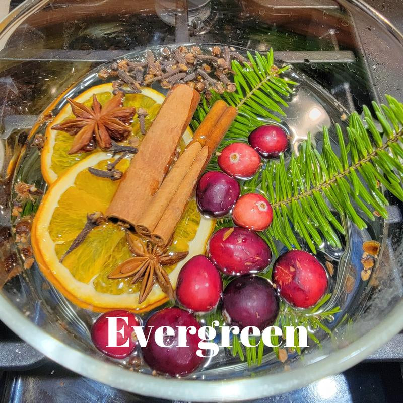 Winter Collection Simmer Pot Kits - Perfect for Gifts & Holiday Scents Nontoxic Home Air Freshener